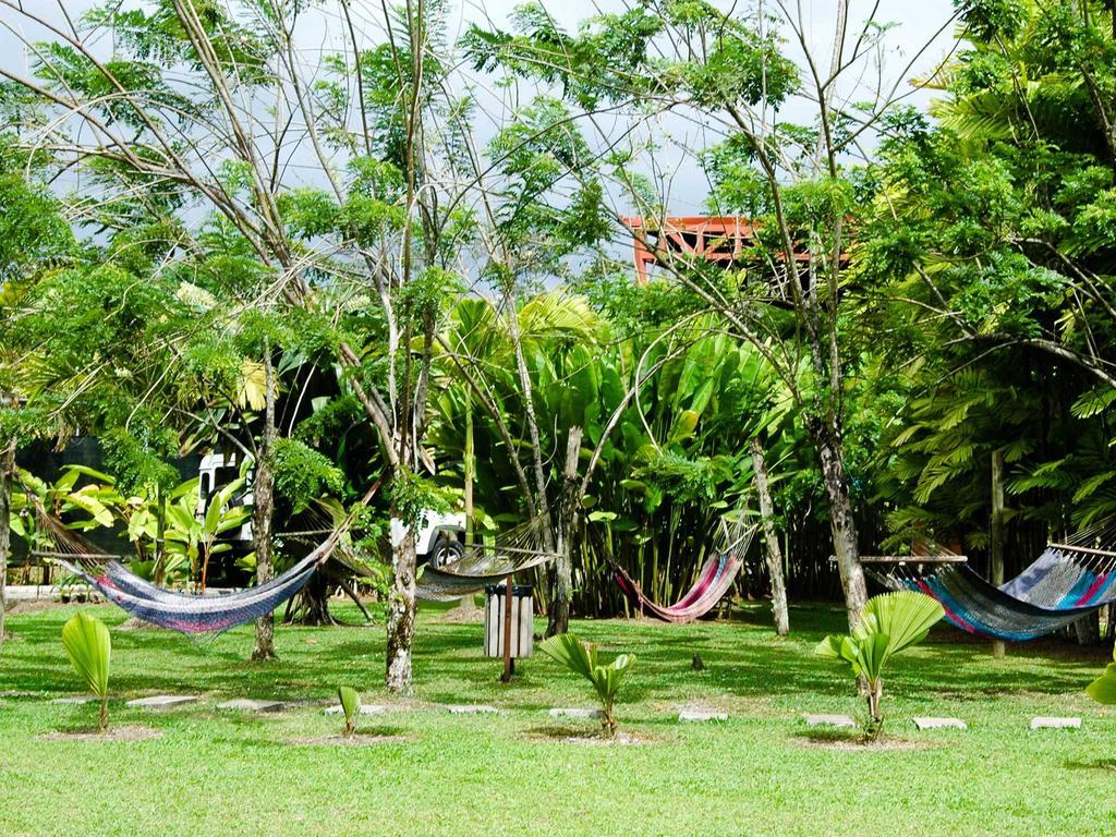Arenal Backpackers Resort La Fortuna Exteriér fotografie Hammocks in the garden of a hostel in Central America