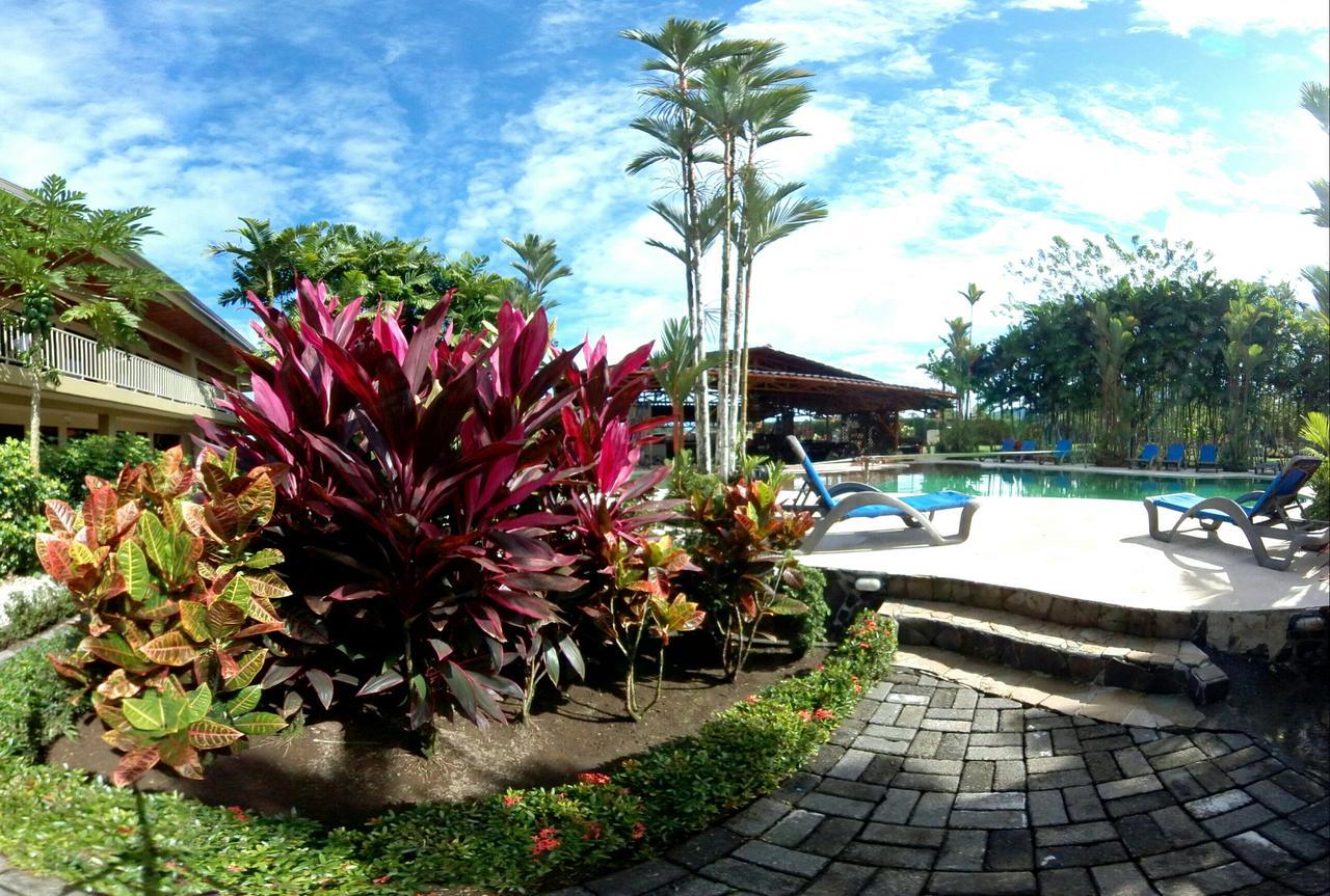 Arenal Backpackers Resort La Fortuna Exteriér fotografie The pool at the resort