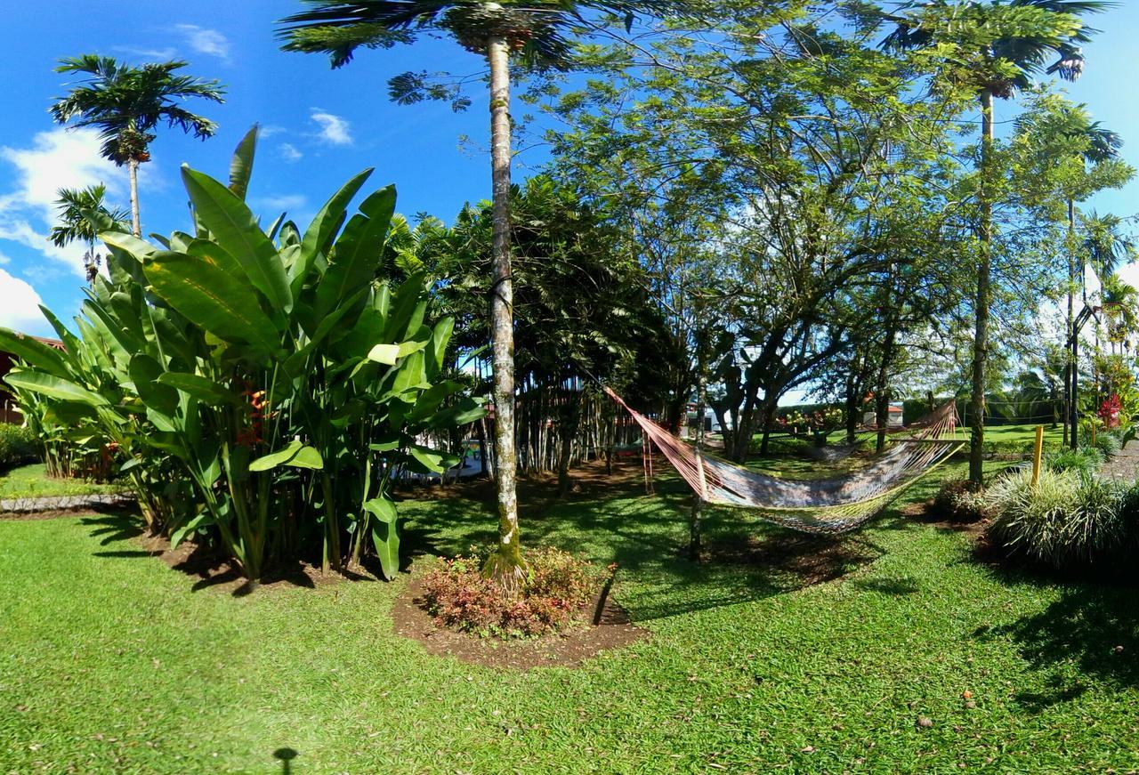 Arenal Backpackers Resort La Fortuna Exteriér fotografie A hammock in the garden of the University of the South Pacific