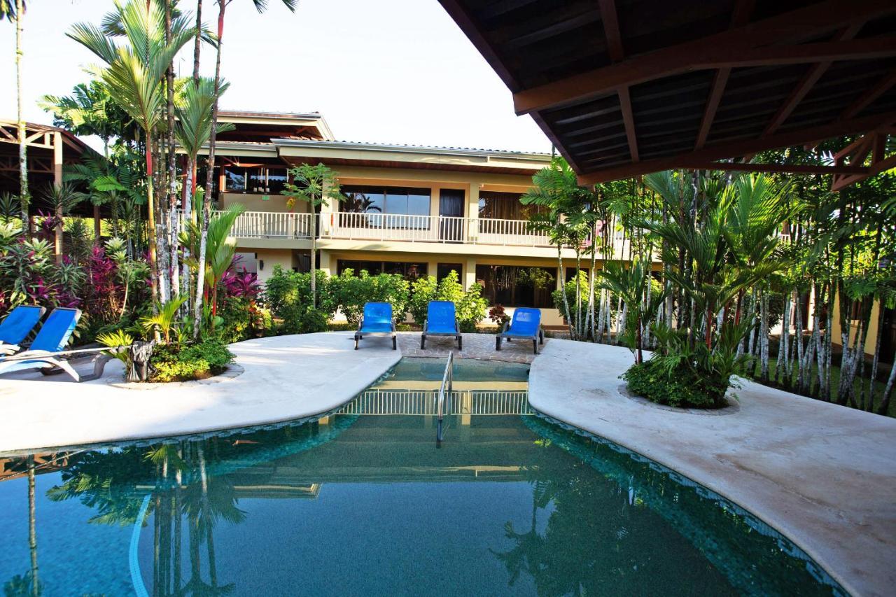 Arenal Backpackers Resort La Fortuna Exteriér fotografie The swimming pool at the hotel
