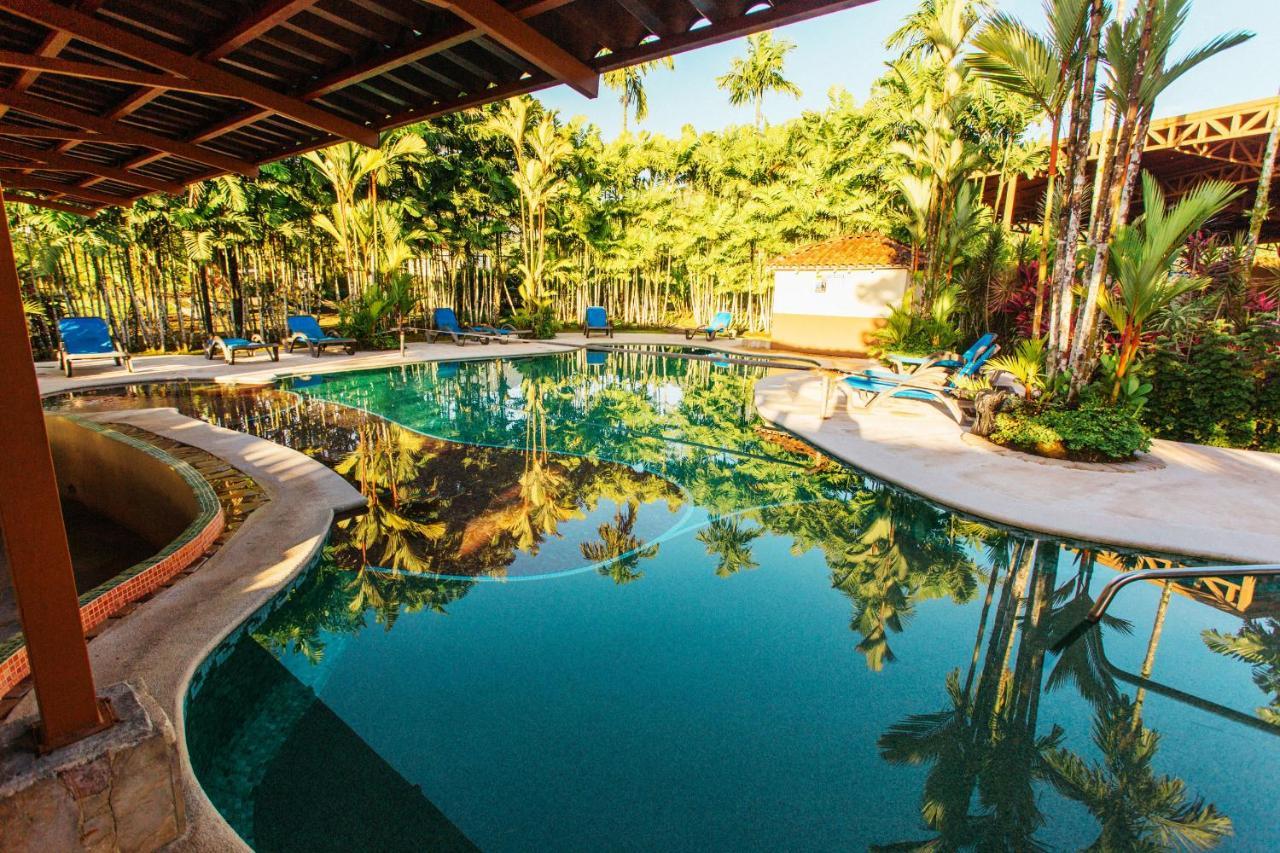 Arenal Backpackers Resort La Fortuna Exteriér fotografie The swimming pool at the resort